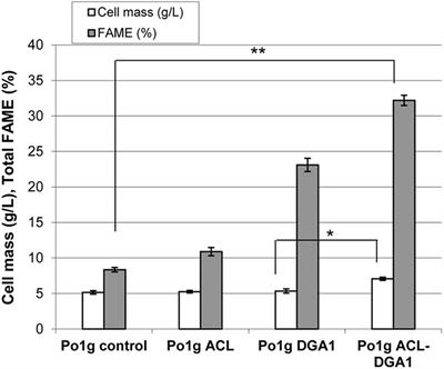 Disruption of the Snf1 Gene Enhances Cell Growth and Reduces the <mark class="highlighted">Metabolic Burden</mark> in Cellulase-Expressing and Lipid-Accumulating Yarrowia lipolytica